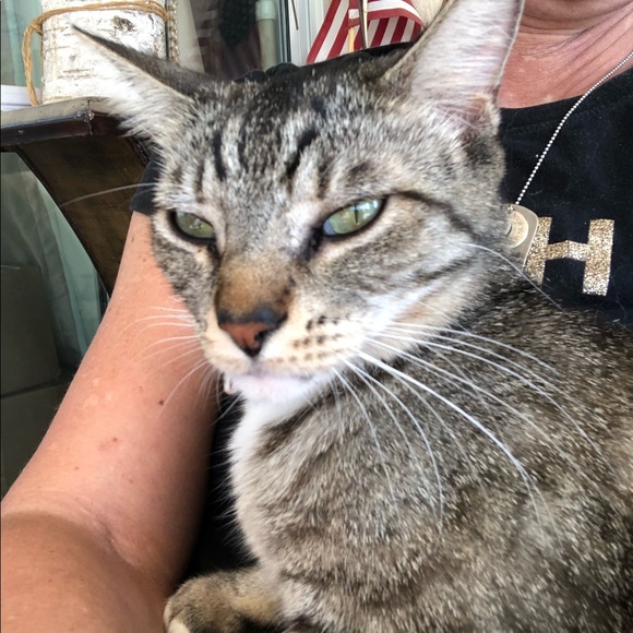 Meet your Posher, Melissa - Picture 3 of 6